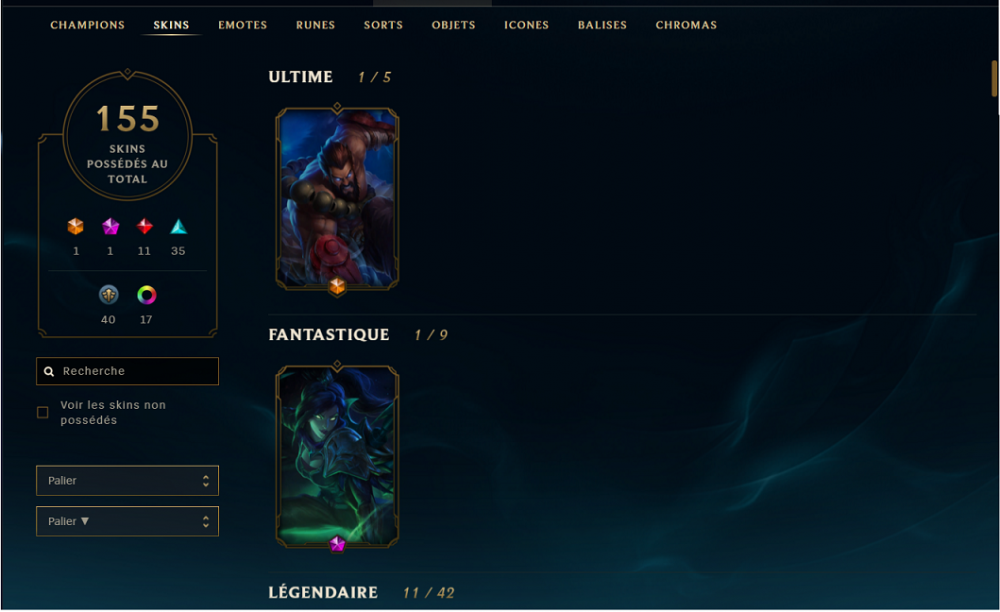screen compte skins.png